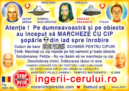   Click to magnify  